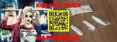 спиды Кингисепп
