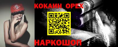 спиды Кингисепп