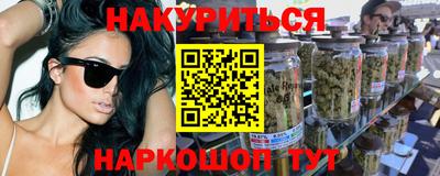 спиды Кингисепп