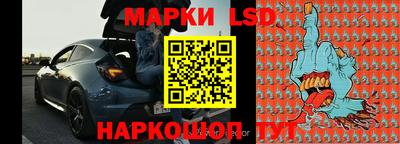 спиды Кингисепп