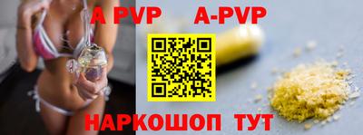 спиды Кингисепп