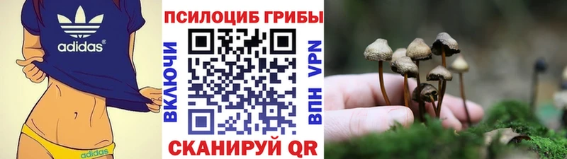купить   Ханты-Мансийск  МЕГА ССЫЛКА  Псилоцибиновые грибы MAGIC MUSHROOMS 