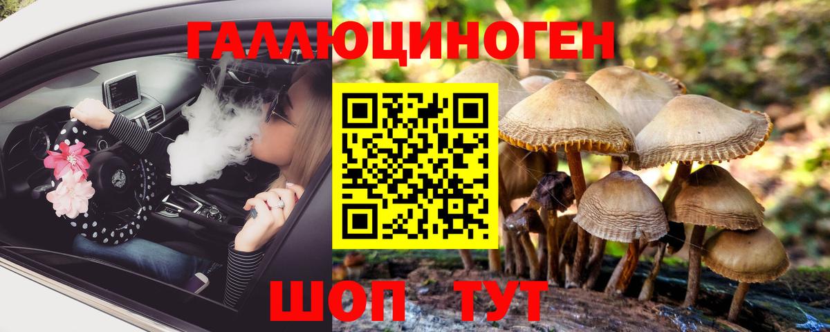 Псилоцибиновые грибы Psilocybine cubensis  Ханты-Мансийск 