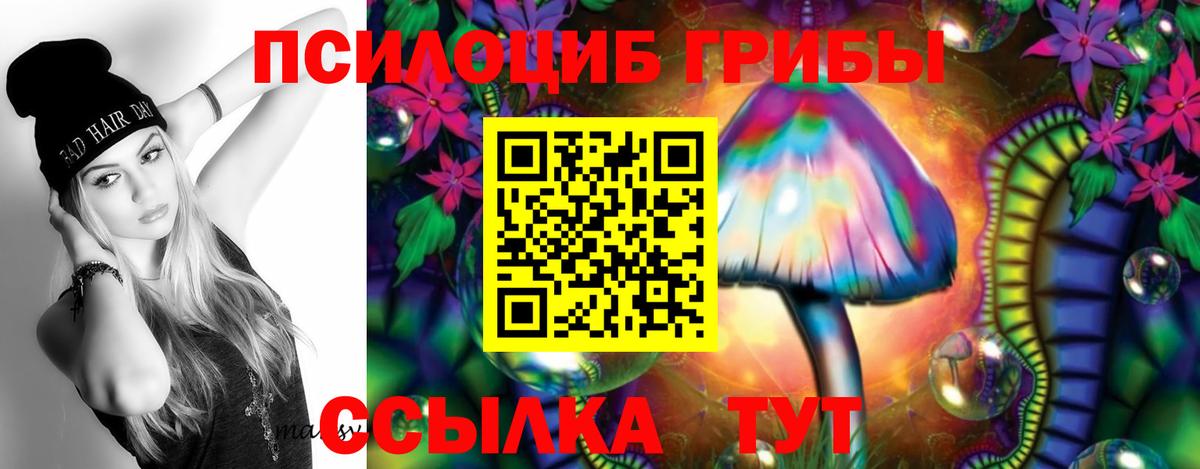 Галлюциногенные грибы Psilocybine cubensis Ханты-Мансийск