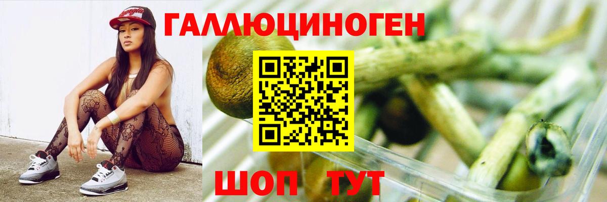 Псилоцибиновые грибы GOLDEN TEACHER Ханты-Мансийск